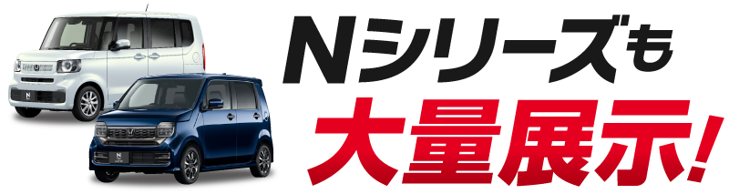 Nシリーズも大量展示！